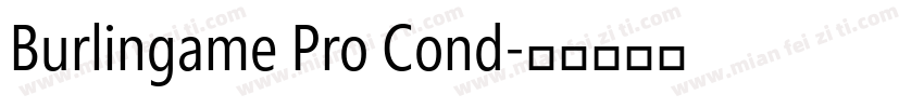 Burlingame Pro Cond字体转换